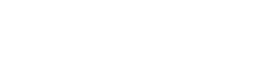 W Punkt